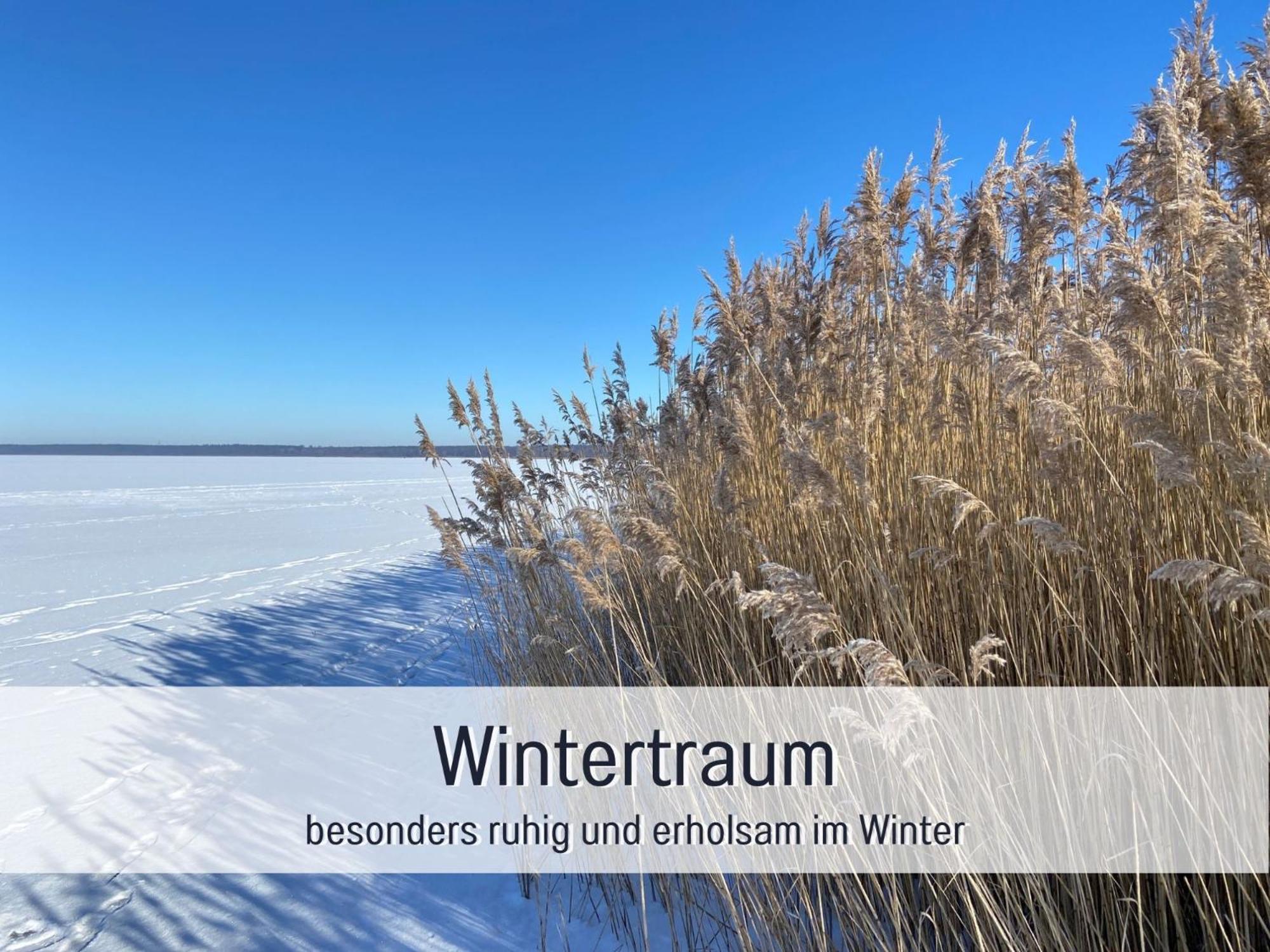 Strandhaus Mathea - Ruhige Lage Direkt Am Fleesensee - Parkplatz, Kamin, Sauna - Familienfreundlich 언터고렌 외부 사진