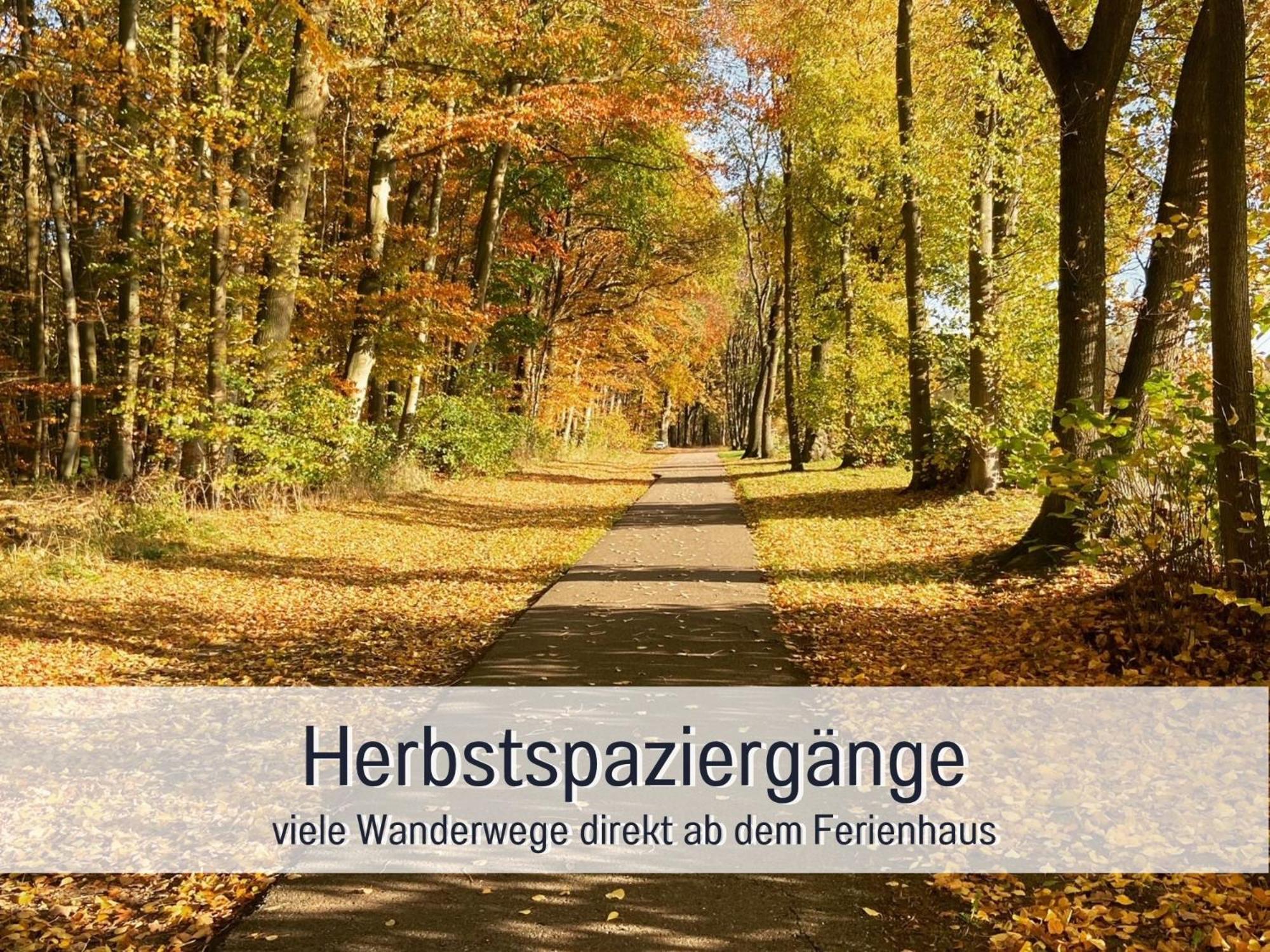 Strandhaus Mathea - Ruhige Lage Direkt Am Fleesensee - Parkplatz, Kamin, Sauna - Familienfreundlich 언터고렌 외부 사진